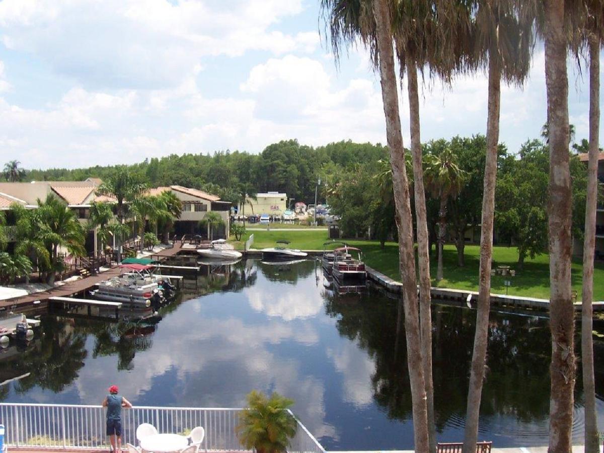 Vista Inn Lake Tarpon Palm Harbor Bagian luar foto
