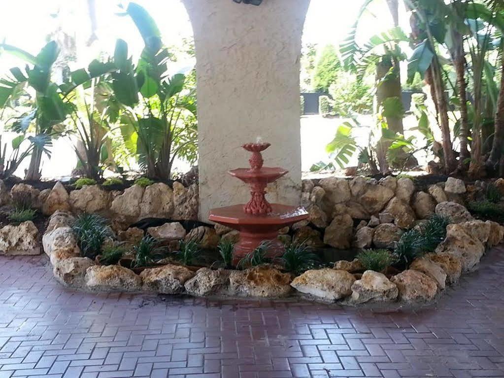 Vista Inn Lake Tarpon Palm Harbor Bagian luar foto