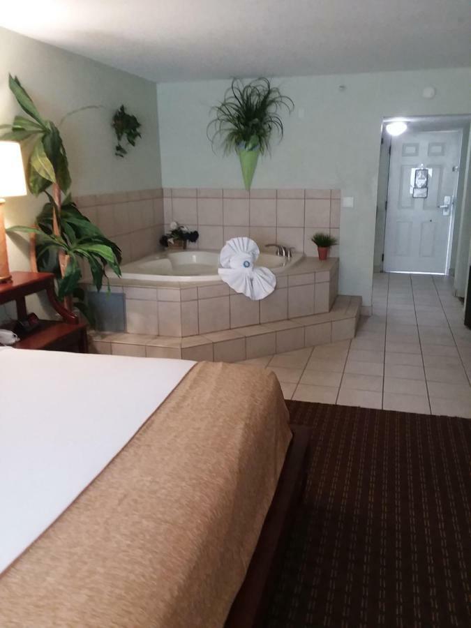 Vista Inn Lake Tarpon Palm Harbor Bagian luar foto