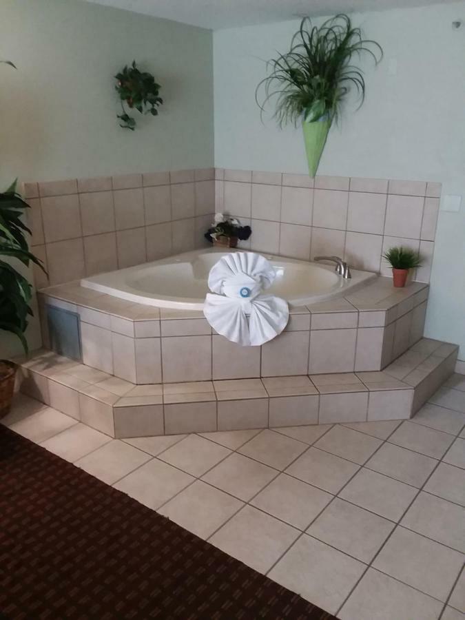 Vista Inn Lake Tarpon Palm Harbor Bagian luar foto